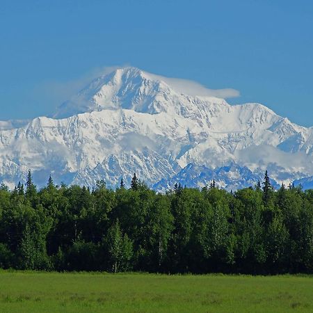 Mckinley View B&B Trapper Creek Kültér fotó