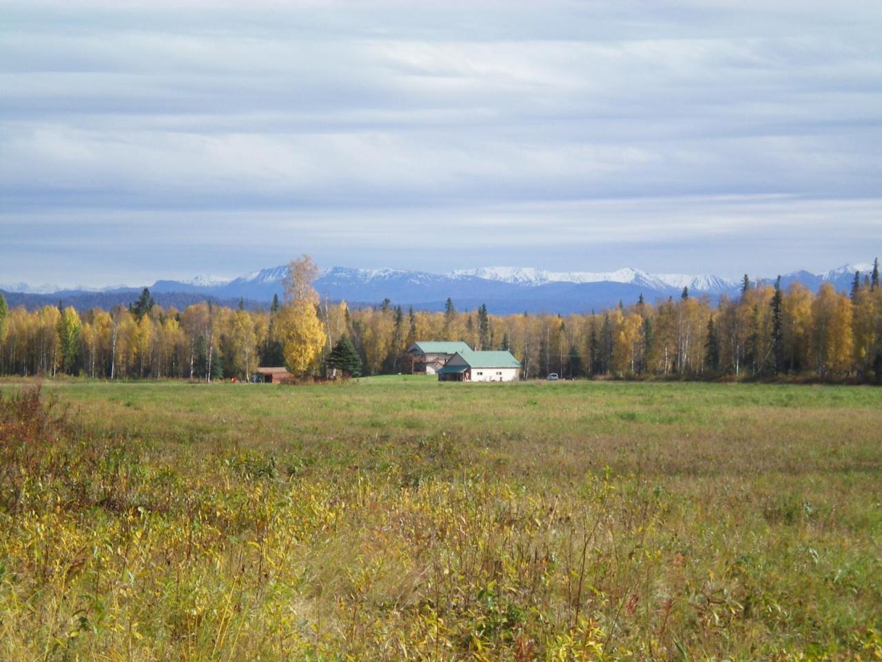 Mckinley View B&B Trapper Creek Kültér fotó